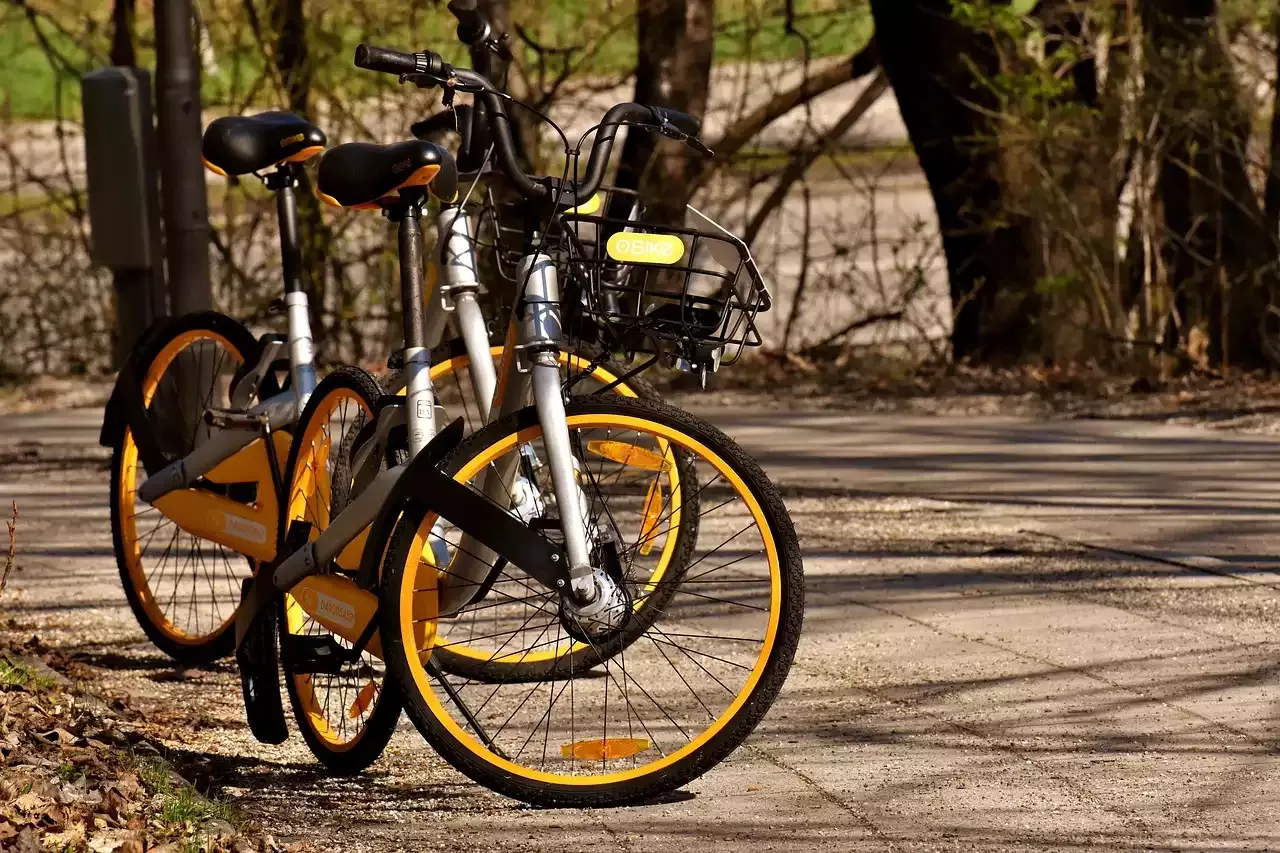 Thwart Bike Thieves: Expert Strategies for Securing Your Bicycle in the City