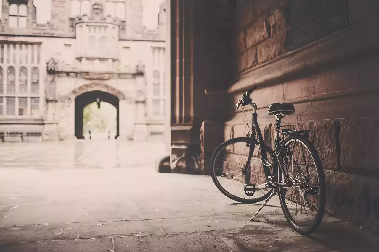 Pedaling Forward: How Advocacy and Infrastructure are Shaping the Future of Urban Cycling