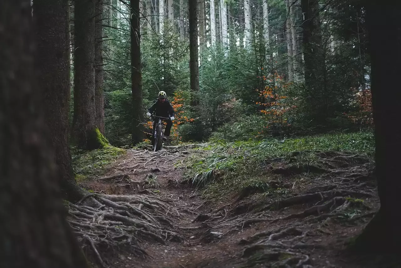 Riding the Trails: Essential Tips for Mountain Bikers to Stay Safe